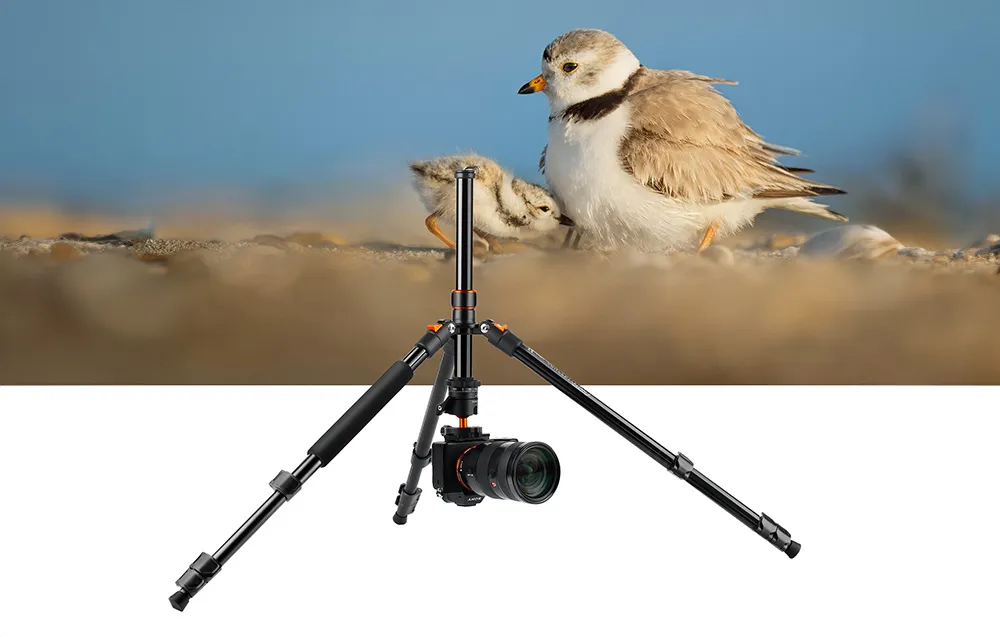 Statyw K&F Concept K234A1+BH-28L